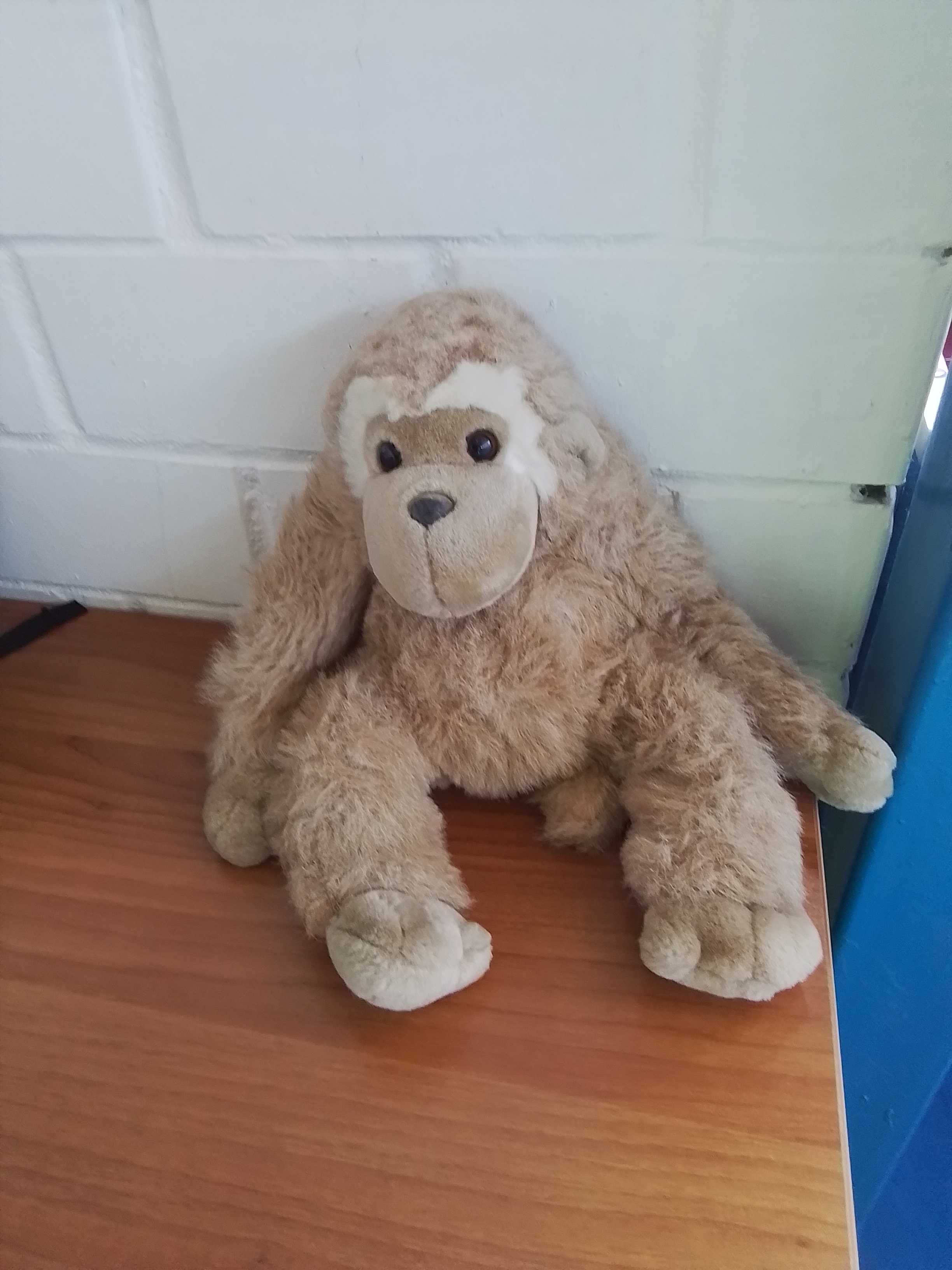 Peluche 