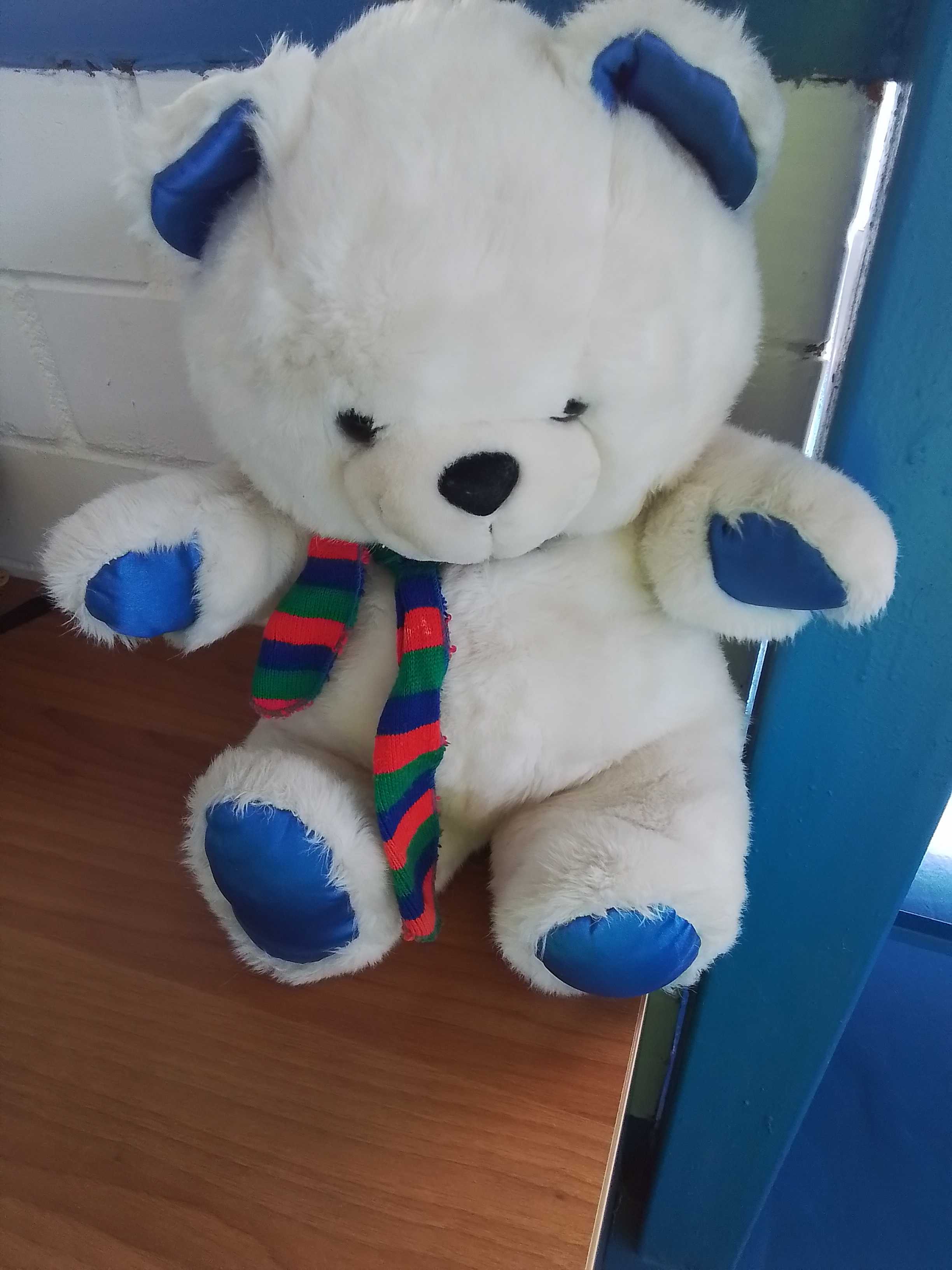 peluche 