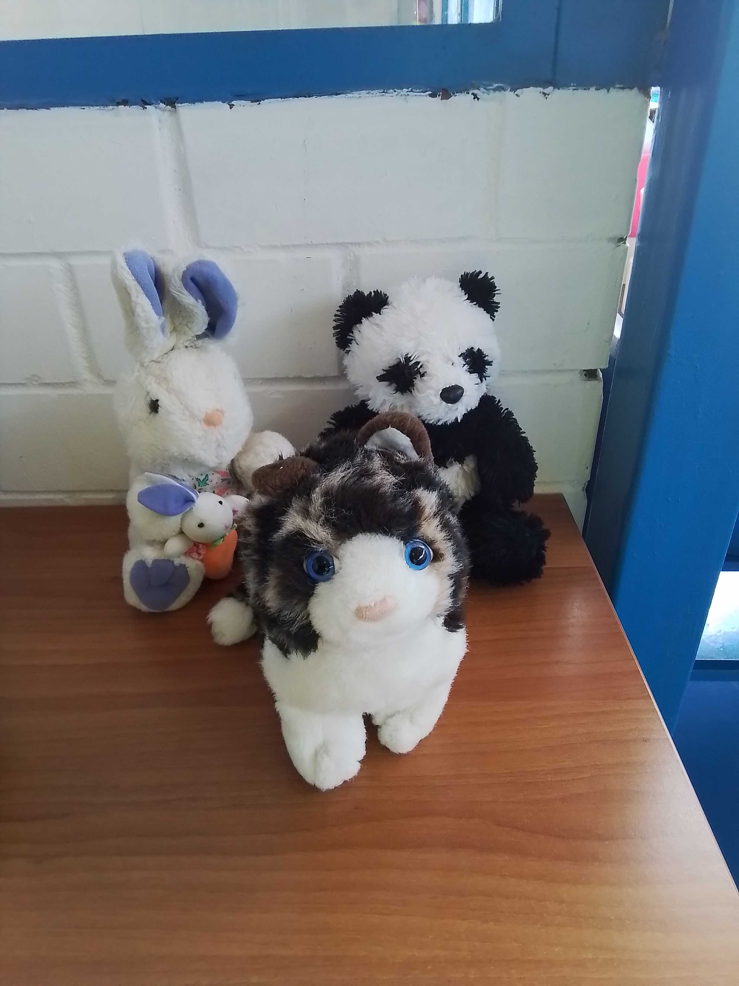 Peluche vari