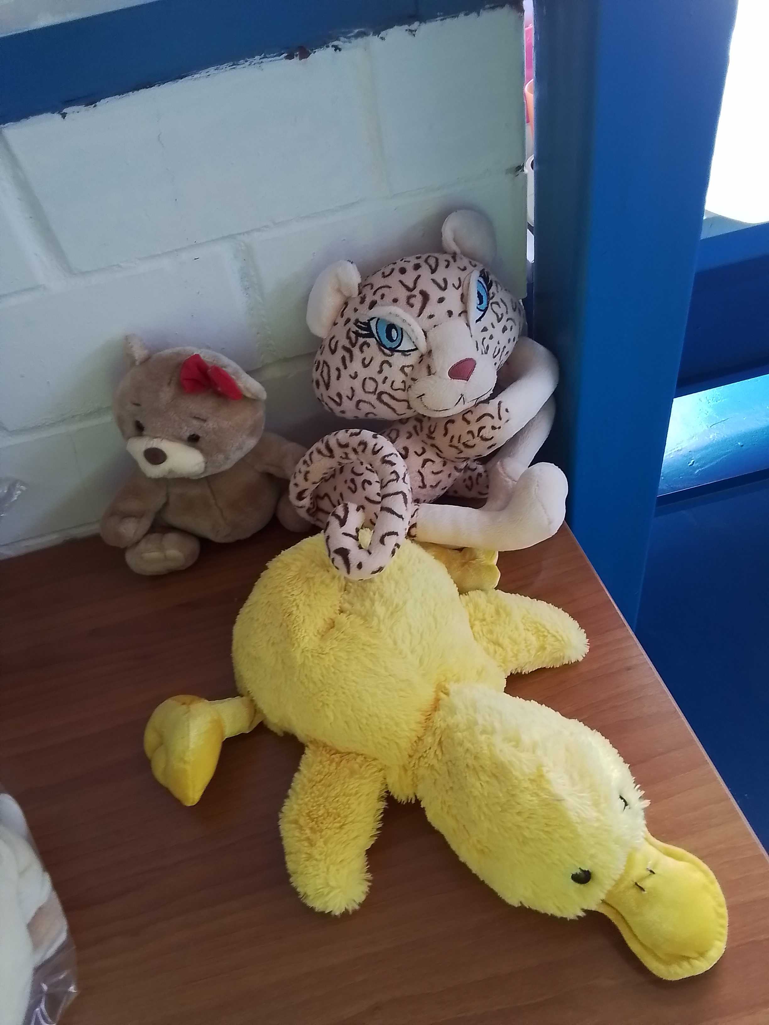 Peluche 