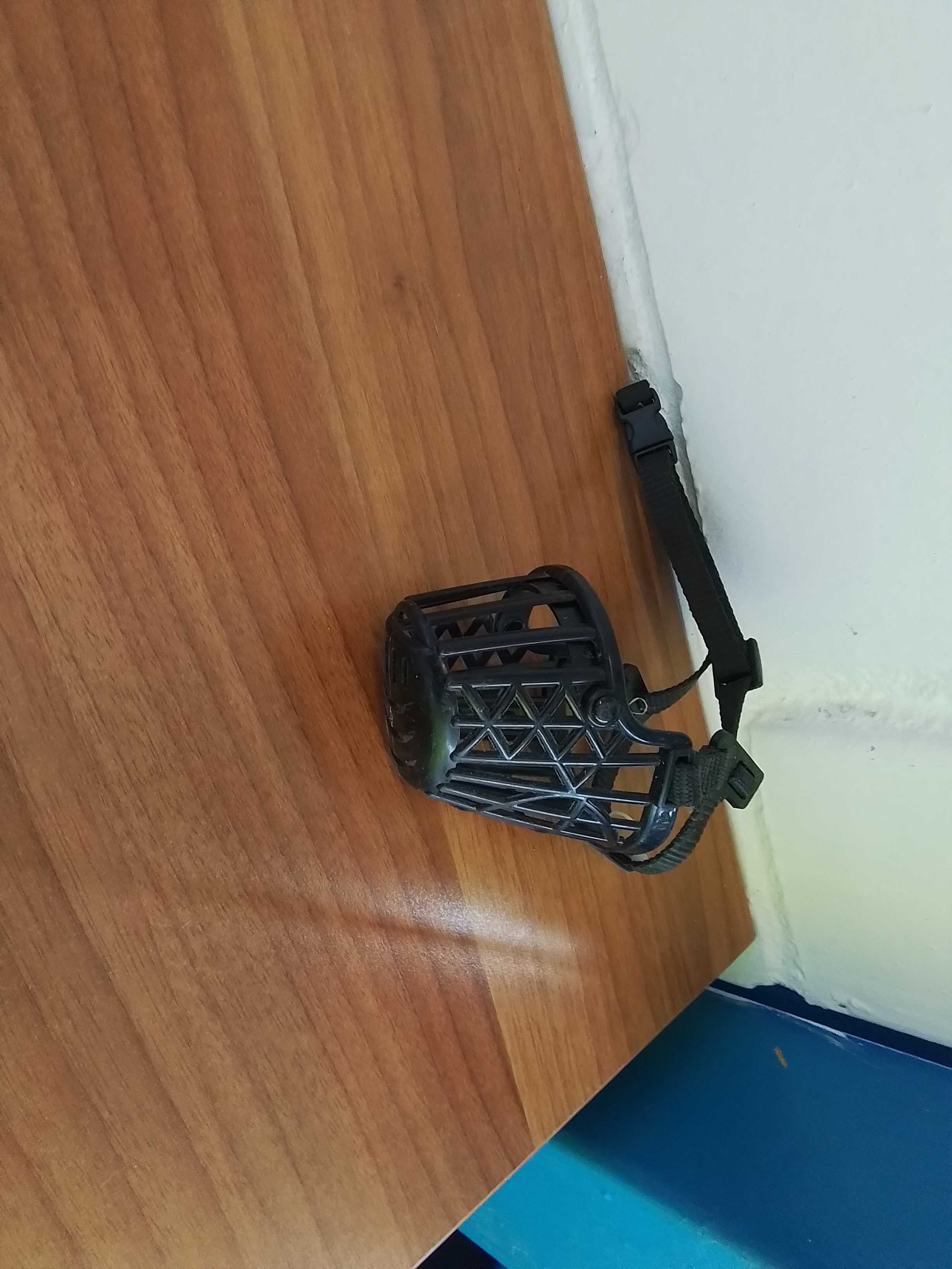 museruola per cani piccoli