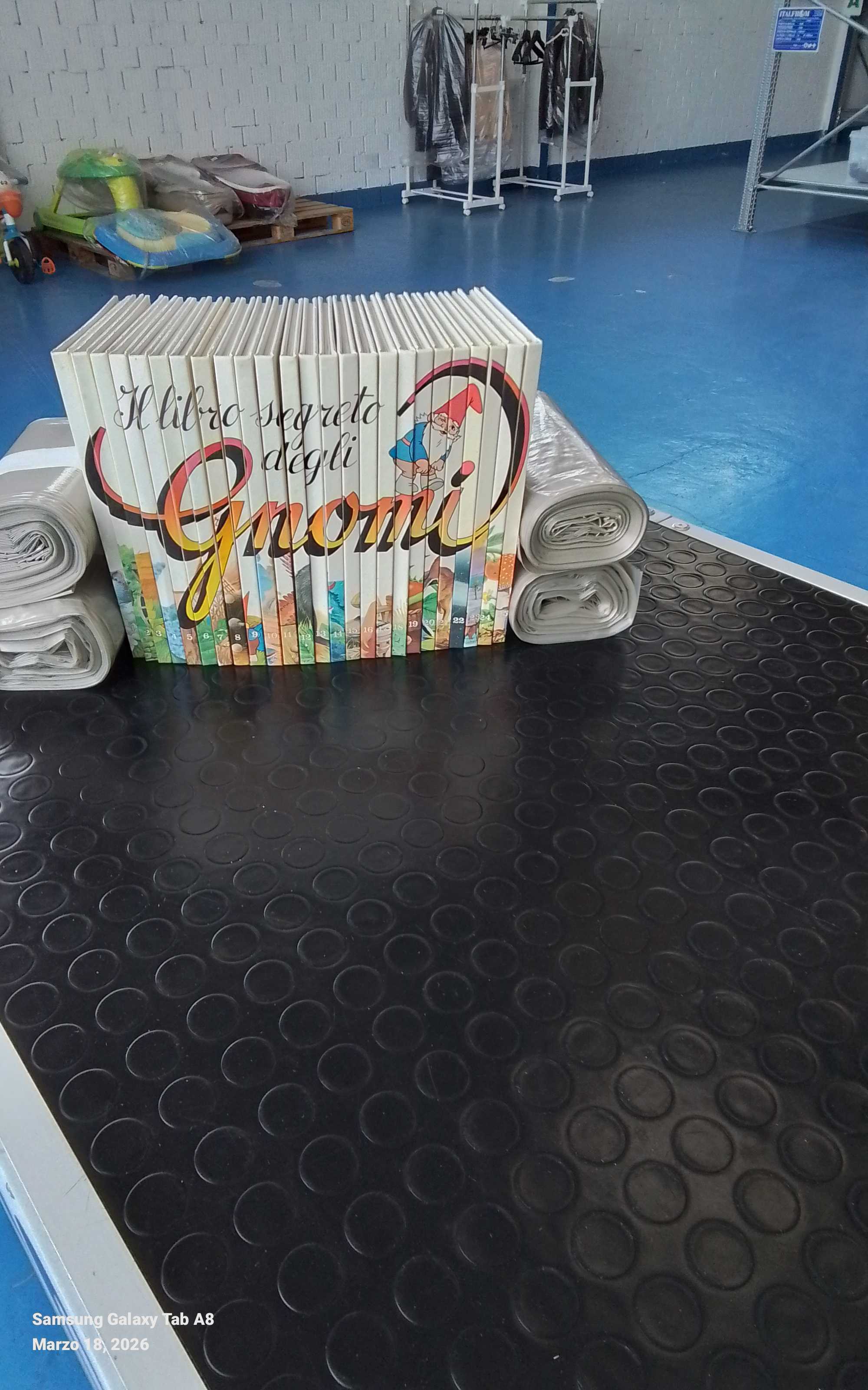 il libro degli gnomi 25 pzz