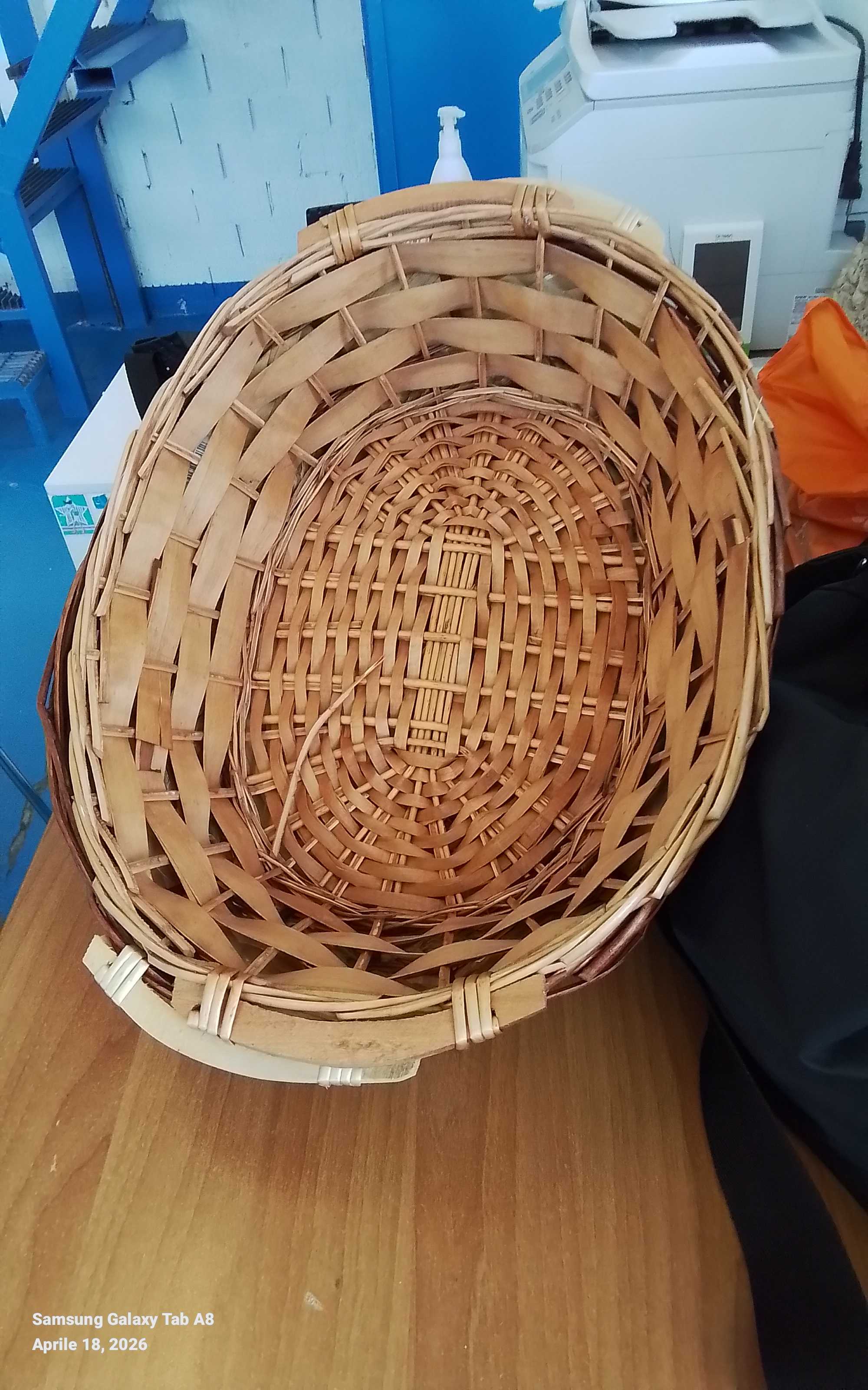 cestini 