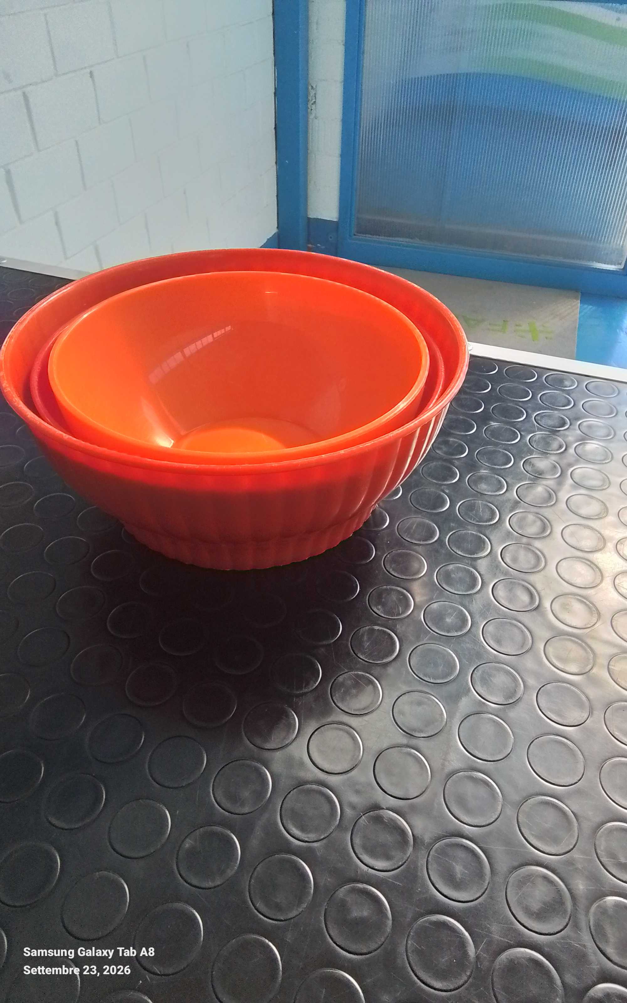 set ciotole di plastica